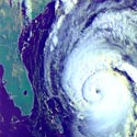 Satellite photo of Hurricane Fran next to Florida