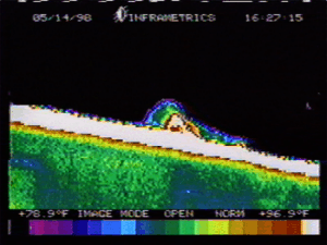 Roof Thermal Picture