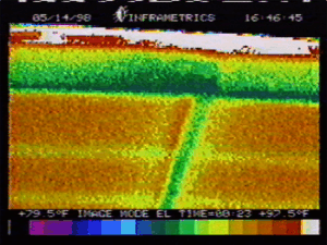 Roof Thermal Picture