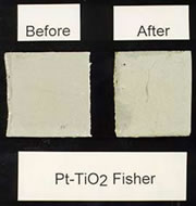 Picture of Algae growth on Pt-TiO2 photocatalyst-protected substrate after one week. 